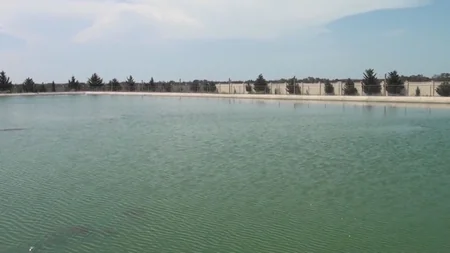 Abşeron kanalında lildən təmizləmə və su infrastrukturunun yenilənməsi işləri açıqlanıb