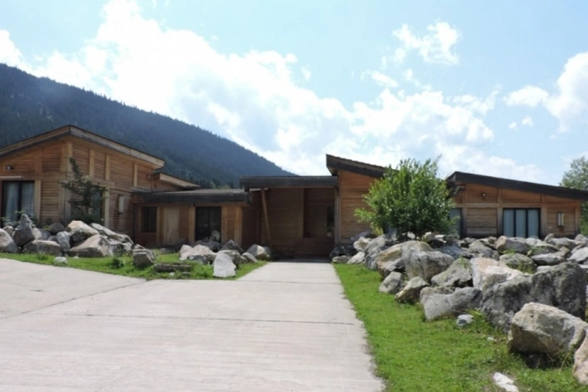 Gürcüstanda keçmiş prezident iqamətgahı satışa çıxarılıb