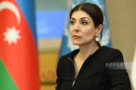 UN Office to invite climate experts to Azerbaijan within COP29