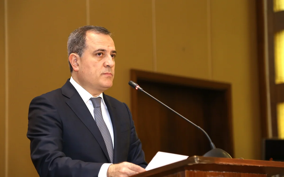 Azerbaijani Foreign Minister: Armenian leadership delayed the negotiation process by hook or by crook