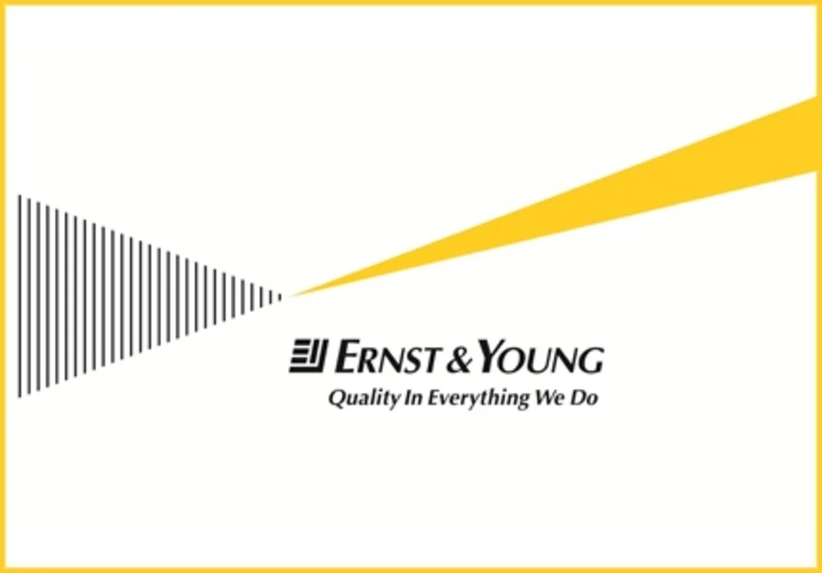 Ernst & Young: Crypto-currencies more dangerous than we think