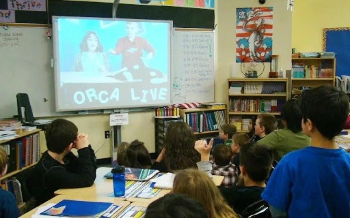 Gürcüstanda Azərbaycan dilində teledərslər yayımlanacaq
