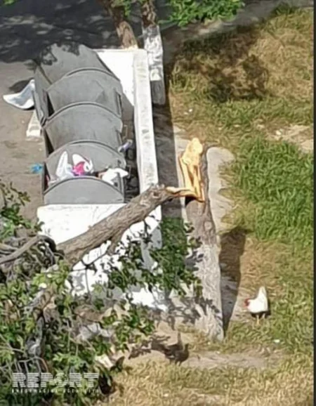 Bakıda külək fəsadlar törədib - FOTO - VİDEO