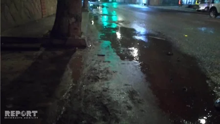 Tovuzda avtomobil ağaca çırpılıb, ölən və yaralanan var - FOTO