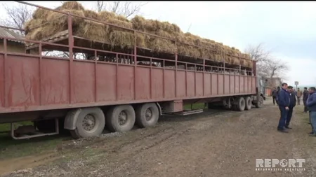 Azərbaycandan Qazaxıstana aparılan heyvanlar arasında oğruluq atlar aşkar olunub
