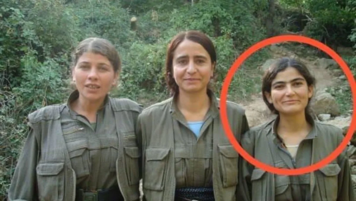 PKK terror qruplaşmasının liderlərindən biri zərərsizləşdirilib