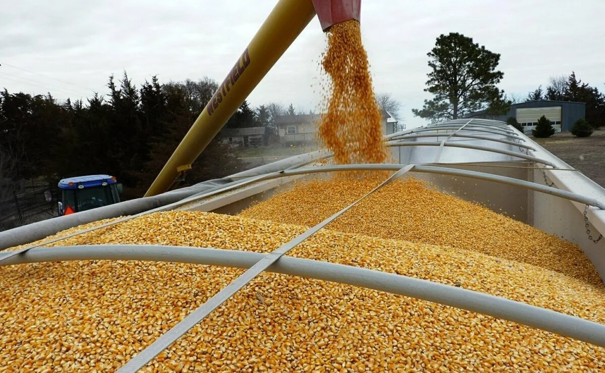 Ukrainian grain to be exported via Poland