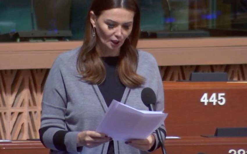 Azərbaycanlı deputat Avropanı terrora dəstək verən siyasətçiləri müdafiə etməməyə çağırıb