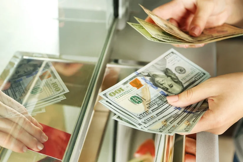 WB Brief: Remittances to developing countries decline