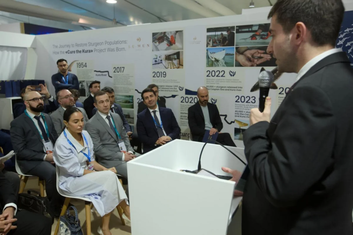 Leyla Aliyeva participates in juvenile fish release event at COP29 Green Zone
