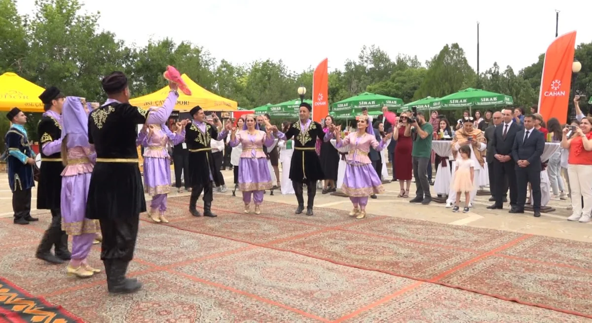 “Naxçıvan Bəşəriyyətin Beşiyi” VI Beynəlxalq Rəsm Festivalının açılış mərasimi olub