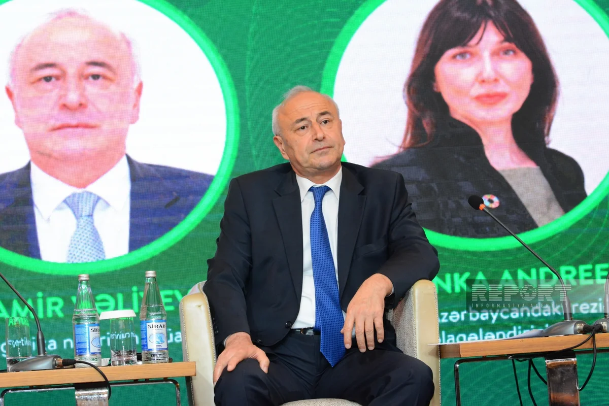 Deputy minister: Investment cost of green energy projects in Azerbaijan - $1.5B