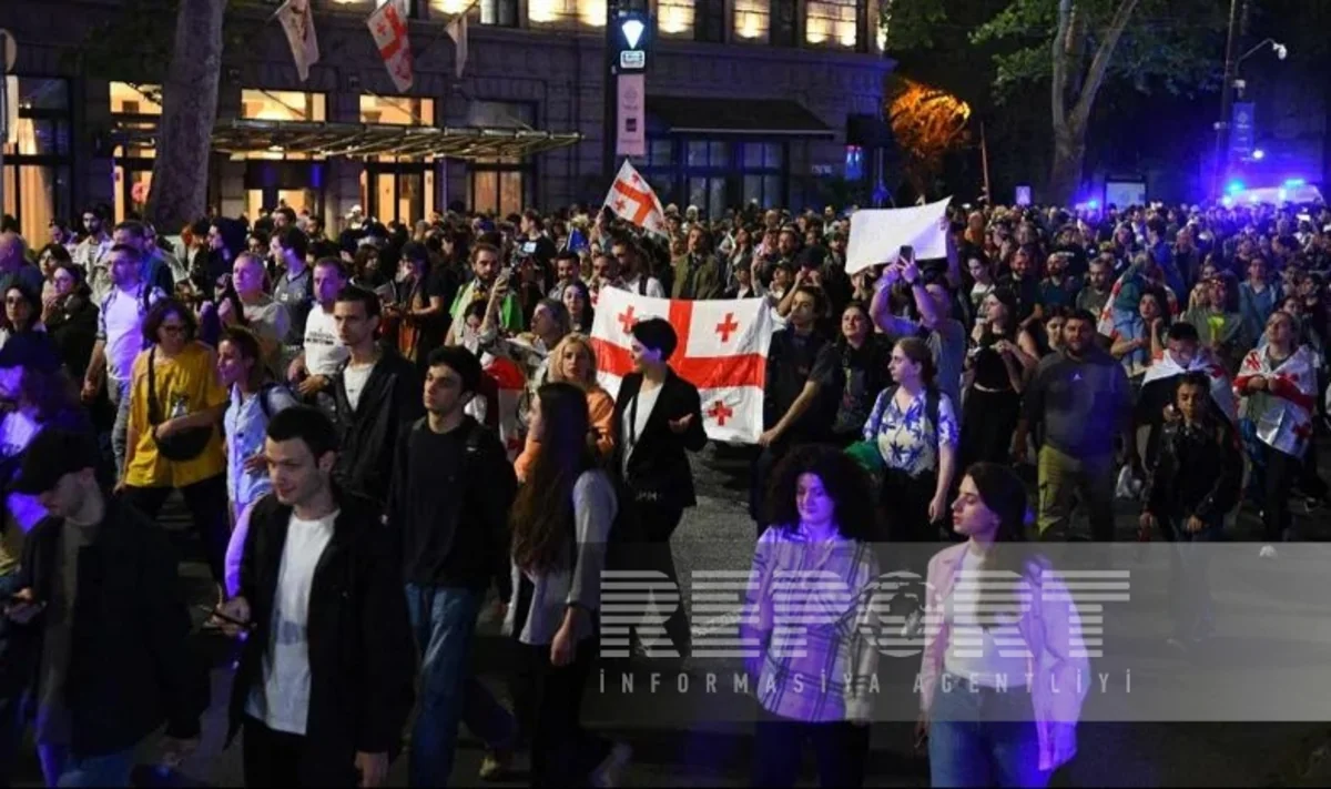 В Тбилиси у здания парламента возобновилась акция протеста