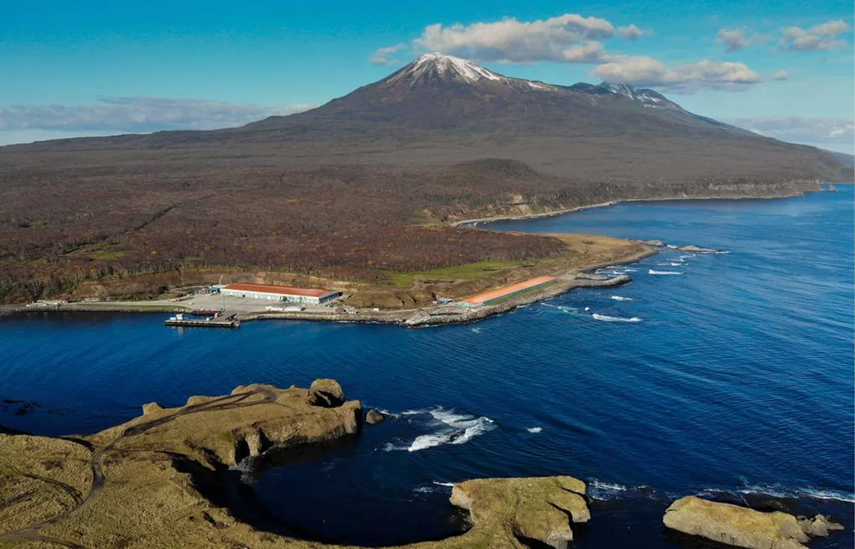 Japanese MFA: Russia occupied South Kuril Islands