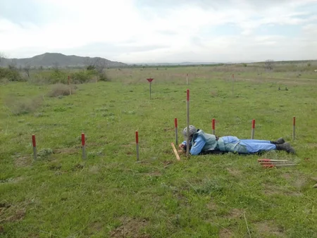 Cocuq Mərcanlıda gün ərzində 2793 ədəd qəlpə aşkar edilib