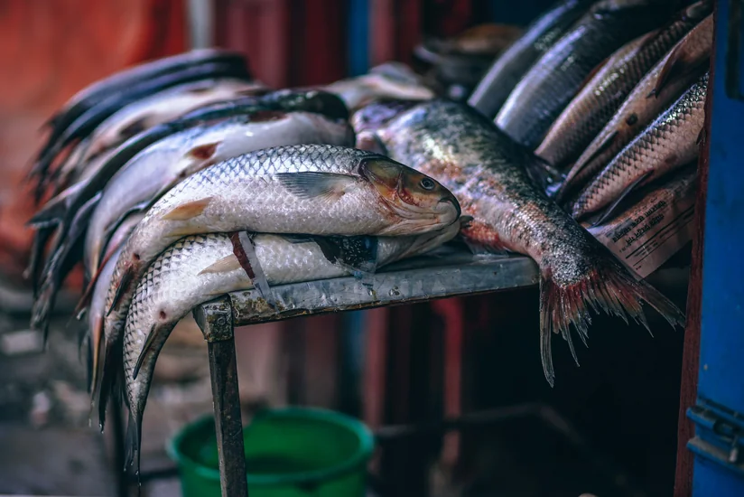 Qanunsuz balıq ovlayan şəxs saxlanıldı