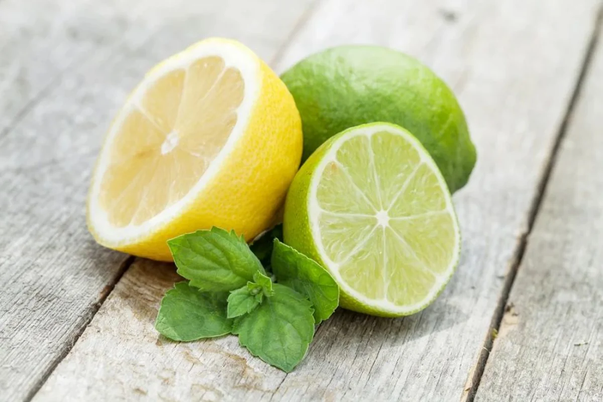 Azerbaijan resumes lemon and lime imports from Spain