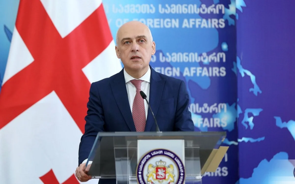 Georgian FM contracts COVID