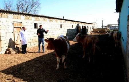 Biləsuvarda profilaktik tədbirlər davam etdirilir
