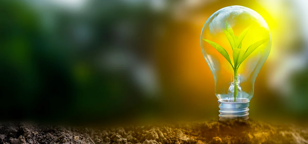 Avropaya doğru yaşıl körpü: Azərbaycanın enerji diplomatiyası -TƏHLİL