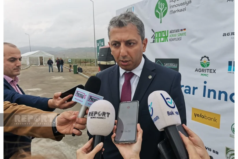 Azərbaycanda taxıl toxumuna tələbatın 70 %-ini yerli istehsal ödəyir