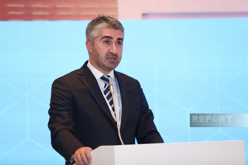 Türkiyəli nazir müavini: İtkin düşənlərin taleyini araşdıran təşkilatlar birgə fəaliyyət göstərməlidirlər