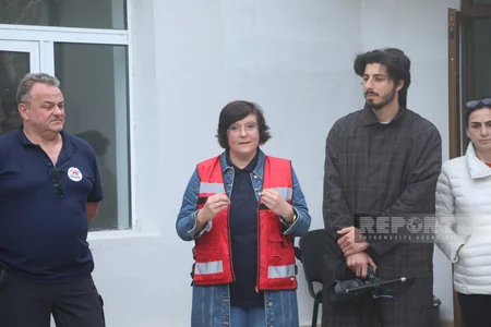 Altıağacda qonur ayılar peyvəndlənib