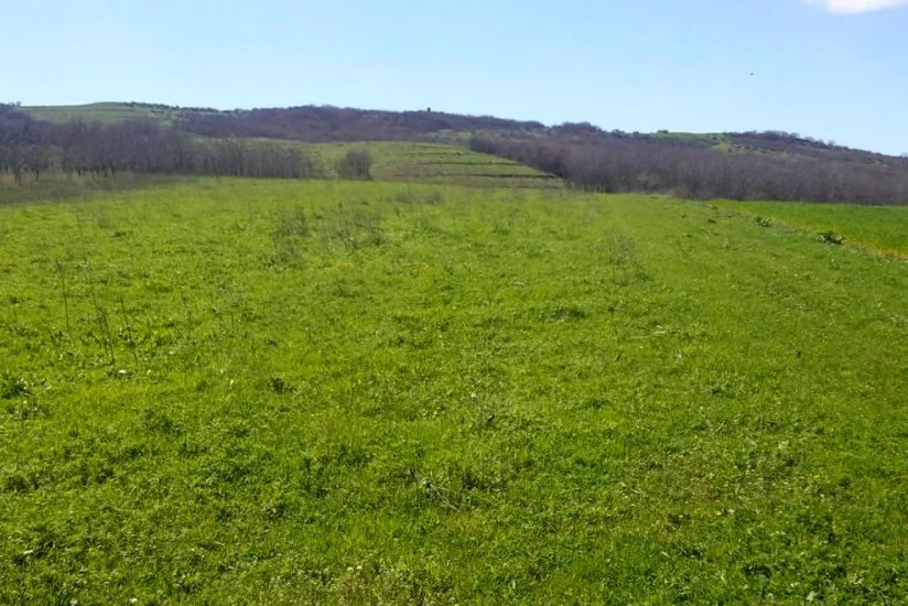 TAP-ın Yunanıstan hissəsində boruların 99%-i düzülüb