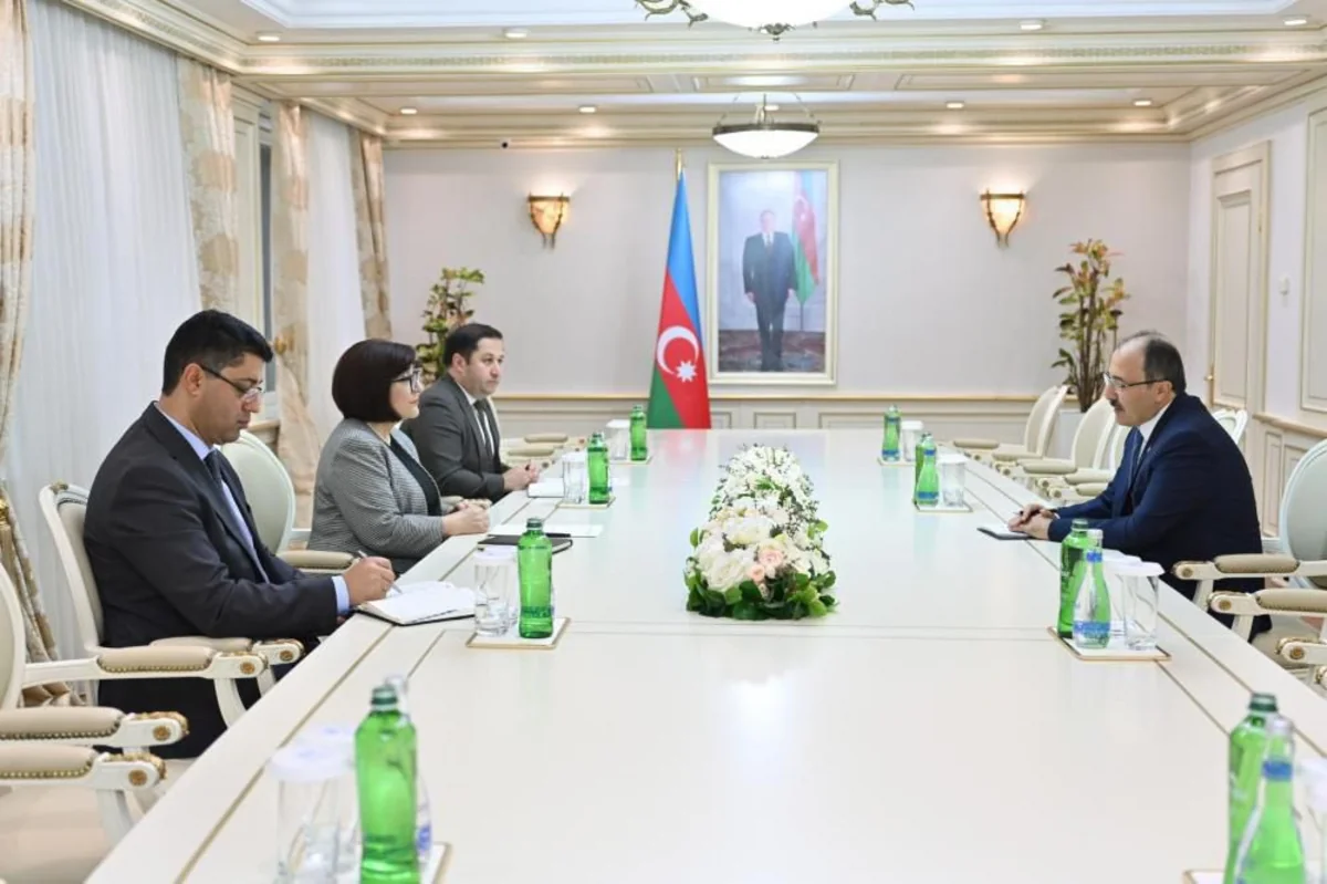 Sahibə Qafarova Türkiyə səfirini qəbul edib
