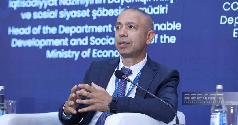 Elnur Soltanov: İqlim dəyişikliyinin əsas səbəbini təkcə enerji sektoru ilə əlaqələndirmək düzgün deyil