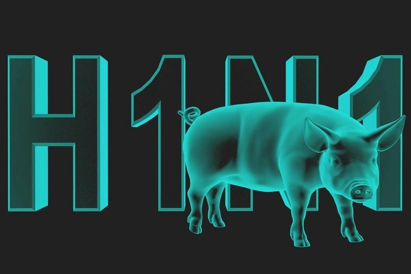 Rusiyada donuz qripi virusu yayılıb