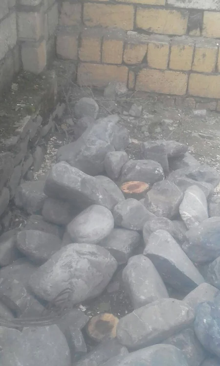 Qəbələdə istirahət mərkəzində 35 ağacın kəsilməsi ilə bağlı materiallar Baş Prokurorluğa göndərilib