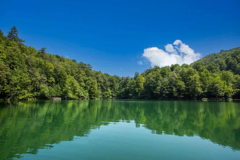 Milli parklarda gözlənilən hava şəraiti açıqlanıb