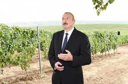 Şamaxıda “Şirvan şərabları” MMC-nin üzümçülük və şərabçılıq kompleksinin açılışı olub