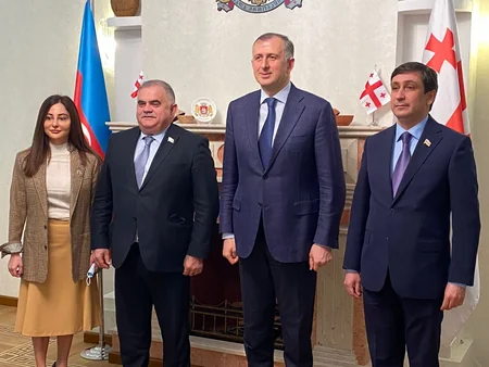 Gürcüstan səfiri Milli Məclisin deputatları ilə görüşüb