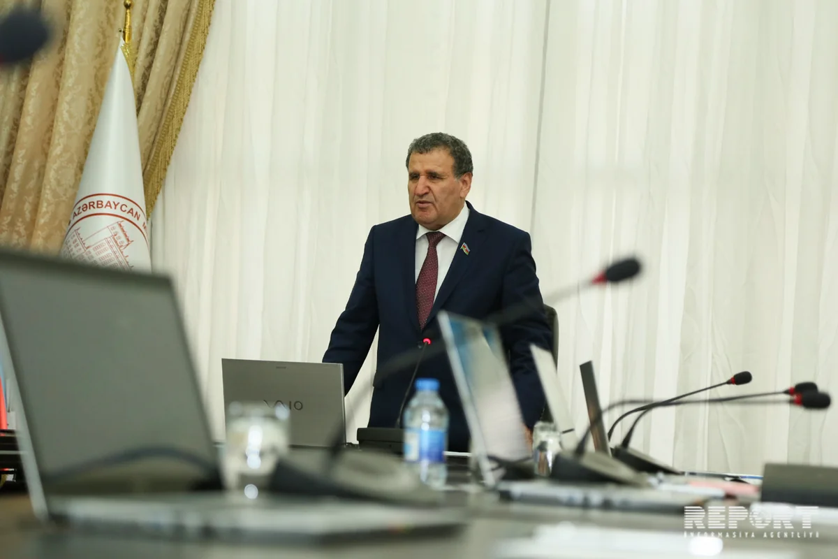 Azərbaycan dilində olan bütün terminlər bir saytda toplanacaq - YENİLƏNİB