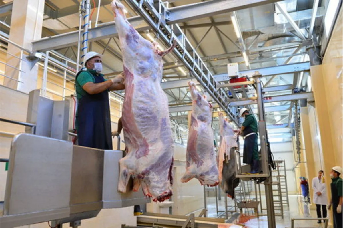 Qurban bayramına görə heyvan kəsimi və satışı məntəqələrində monitorinqlər keçirilir