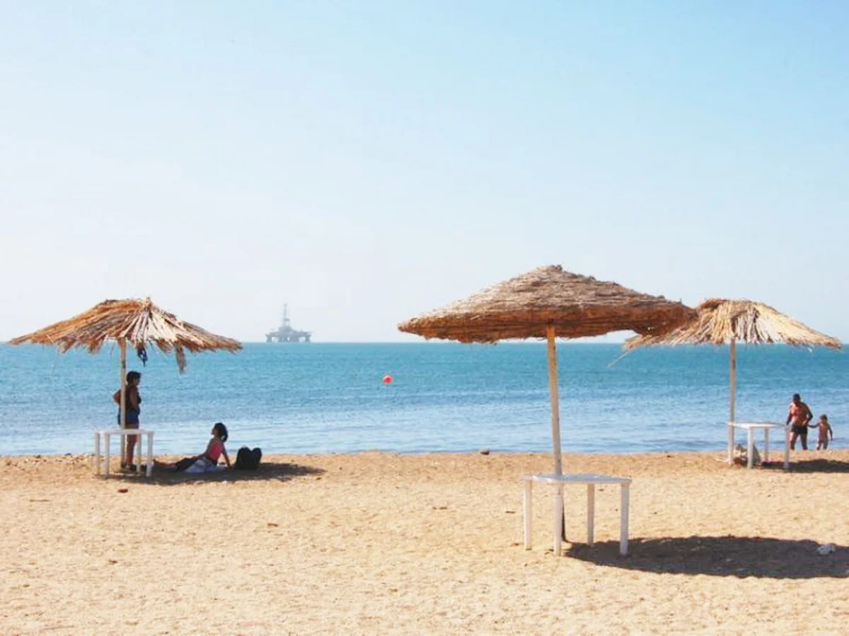 Agentlik sədri: “Azərbaycanda ictimai çimərliklər olmalıdır”