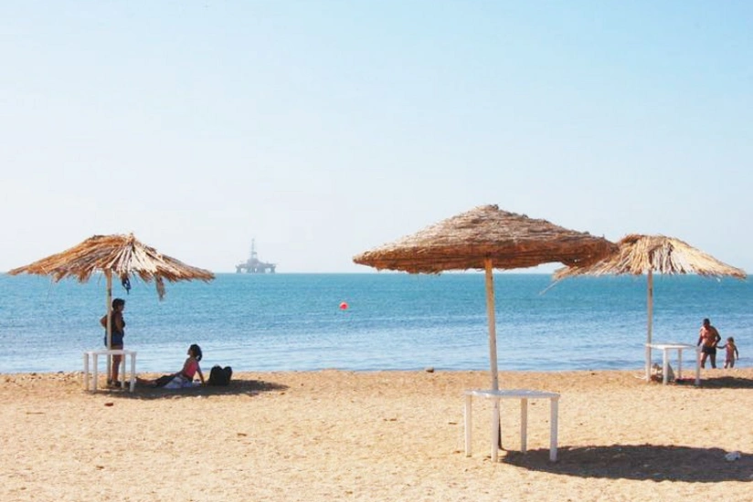 Agentlik sədri: “Azərbaycanda ictimai çimərliklər olmalıdır”