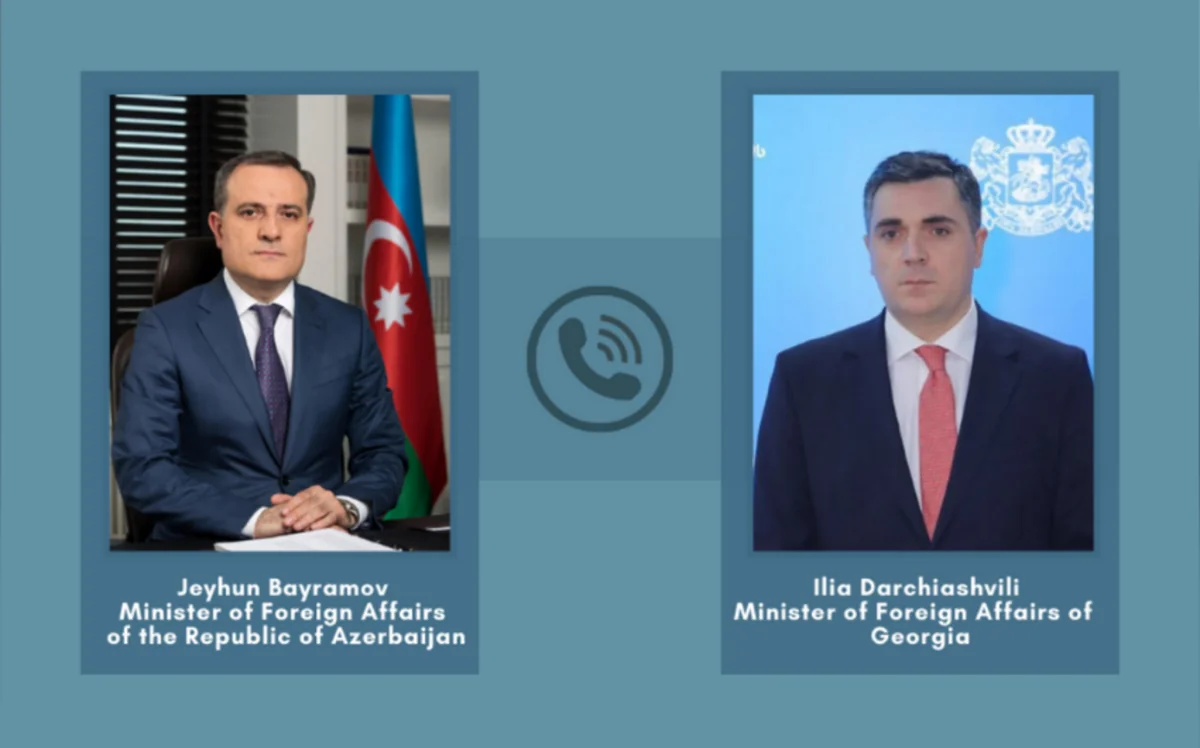 Azerbaijani, Georgia foreign ministers speak on the phone