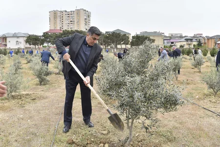 “Azərsu” Heydər Əliyevin 100 illik yubileyi münasibətilə ağacəkmə aksiyası keçirib