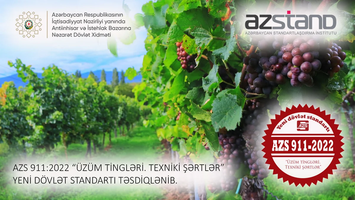Azərbaycanda üzüm tingləri ilə bağlı yeni dövlət standartı təsdiq edilib