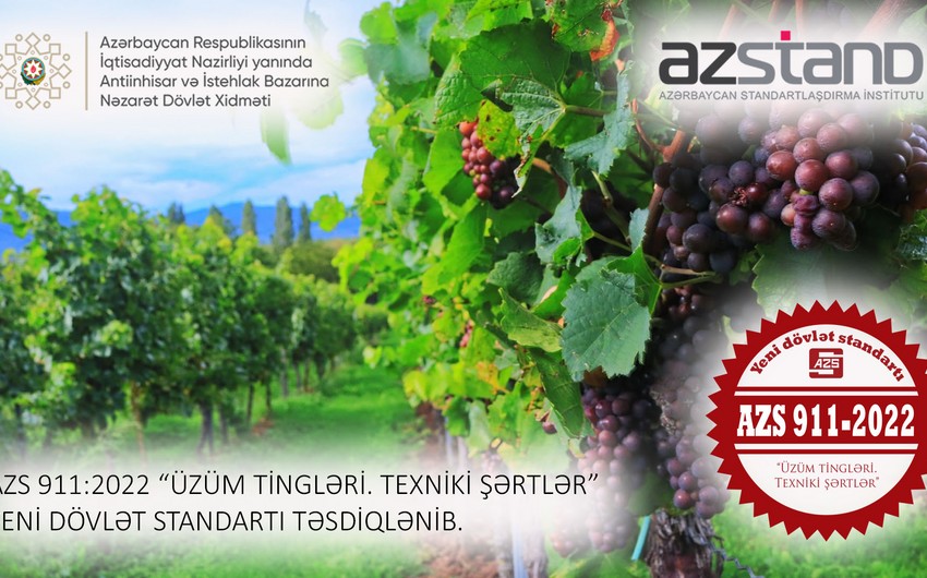 Azərbaycanda üzüm tingləri ilə bağlı yeni dövlət standartı təsdiq edilib