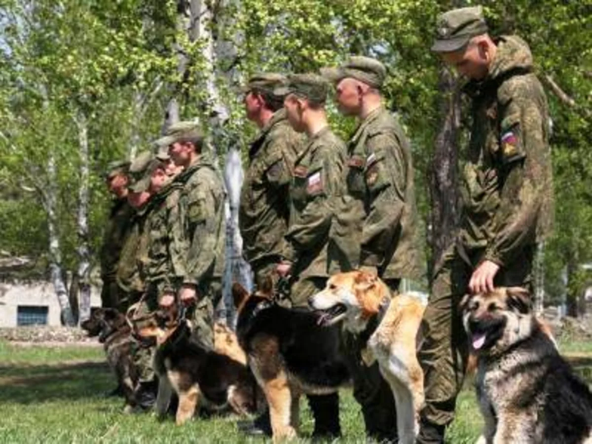 На российской базе в Армении начата подготовка к командирским стартам