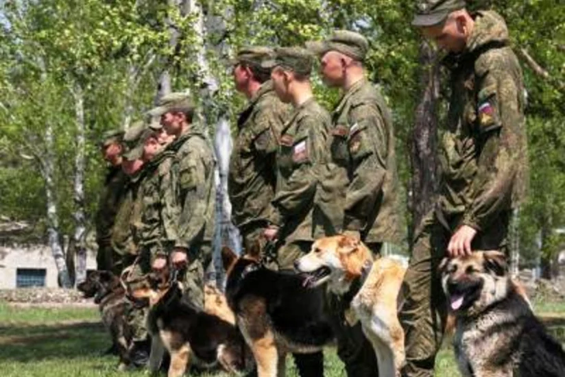 На российской базе в Армении начата подготовка к командирским стартам