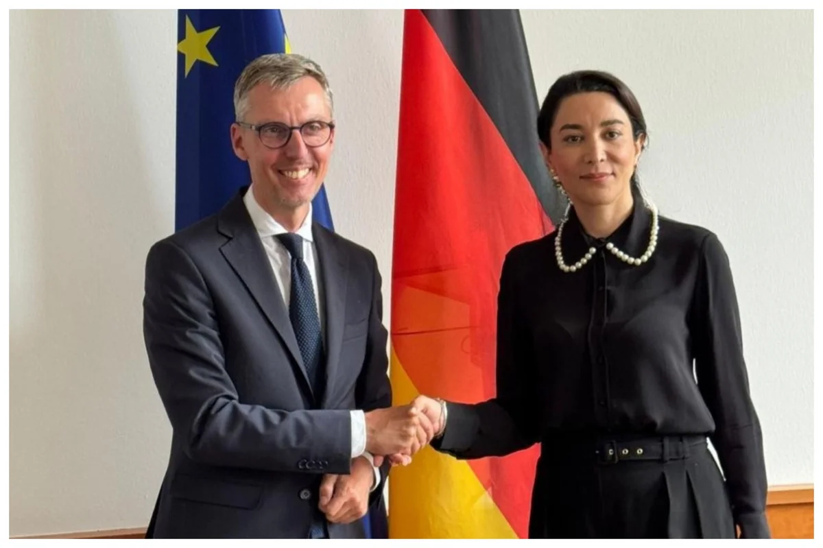 Azerbaijani ombudsman informs German representative of mine threat from Armenia