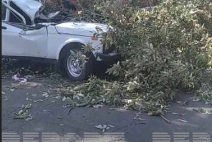 Cəlilabadda baş verən ağır yol qəzasının təfərrüatı məlum olub