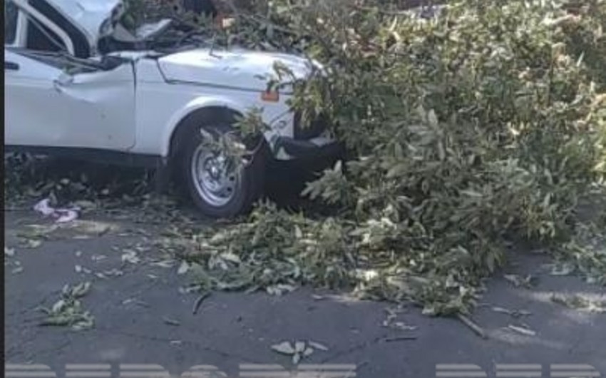 Cəlilabadda baş verən ağır yol qəzasının təfərrüatı məlum olub