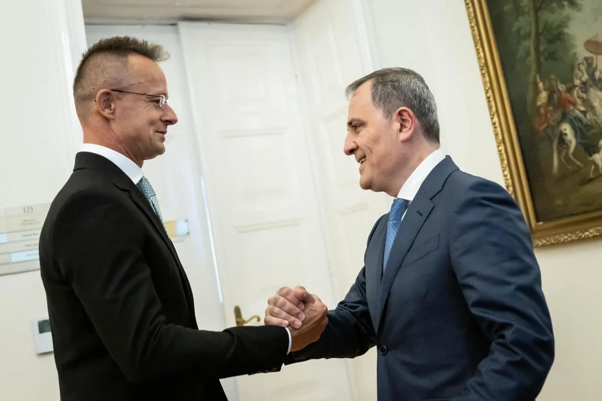 Azerbaijani FM: Meeting with Hungarian counterpart very productive