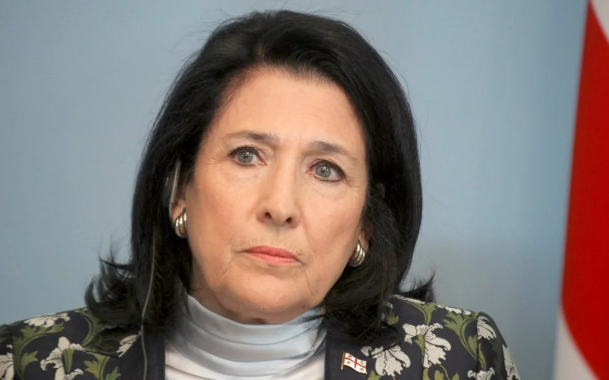 Gürcüstan prezidenti mitinqlərdə çadırları qadağan edən qanuna veto qoyub